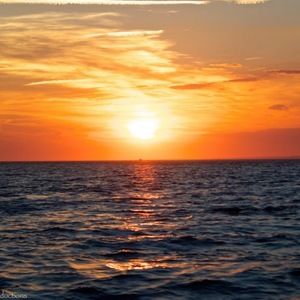 Meet your Posher, Julianne